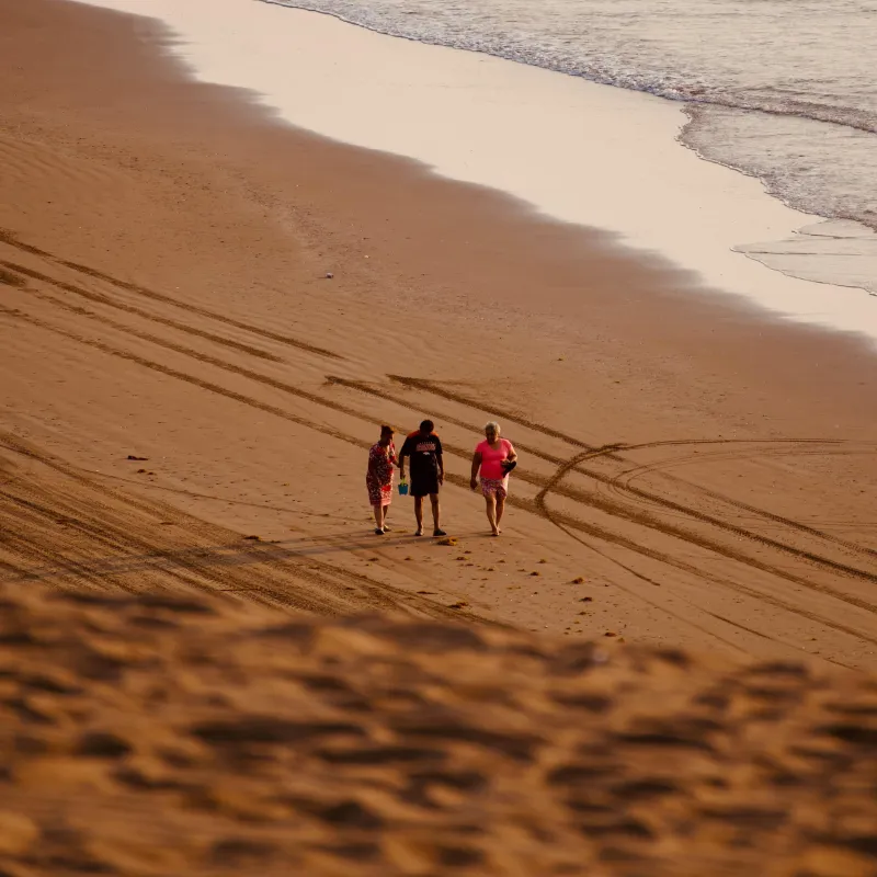 Balade sur la plage